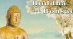 Buddha and Bonsai Vol.5 (2005)