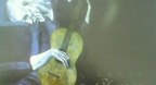 Latin Classic Guitar Vol.1