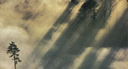 Listen To The Rain