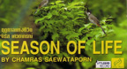 Season Of Life