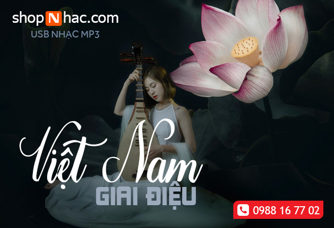 USB nhạc không lời giai điệu Việt Nam tuyển chọn