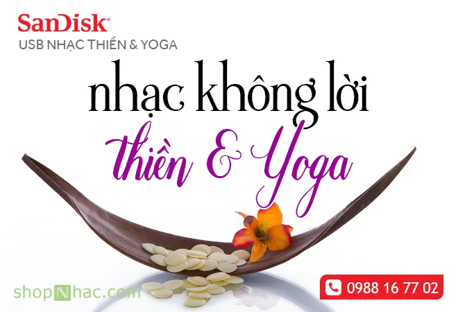 Nhạc Thiền Yoga giúp chúng ta cân bằng sống não và tăng tuổi thọ, yêu đời hơn
